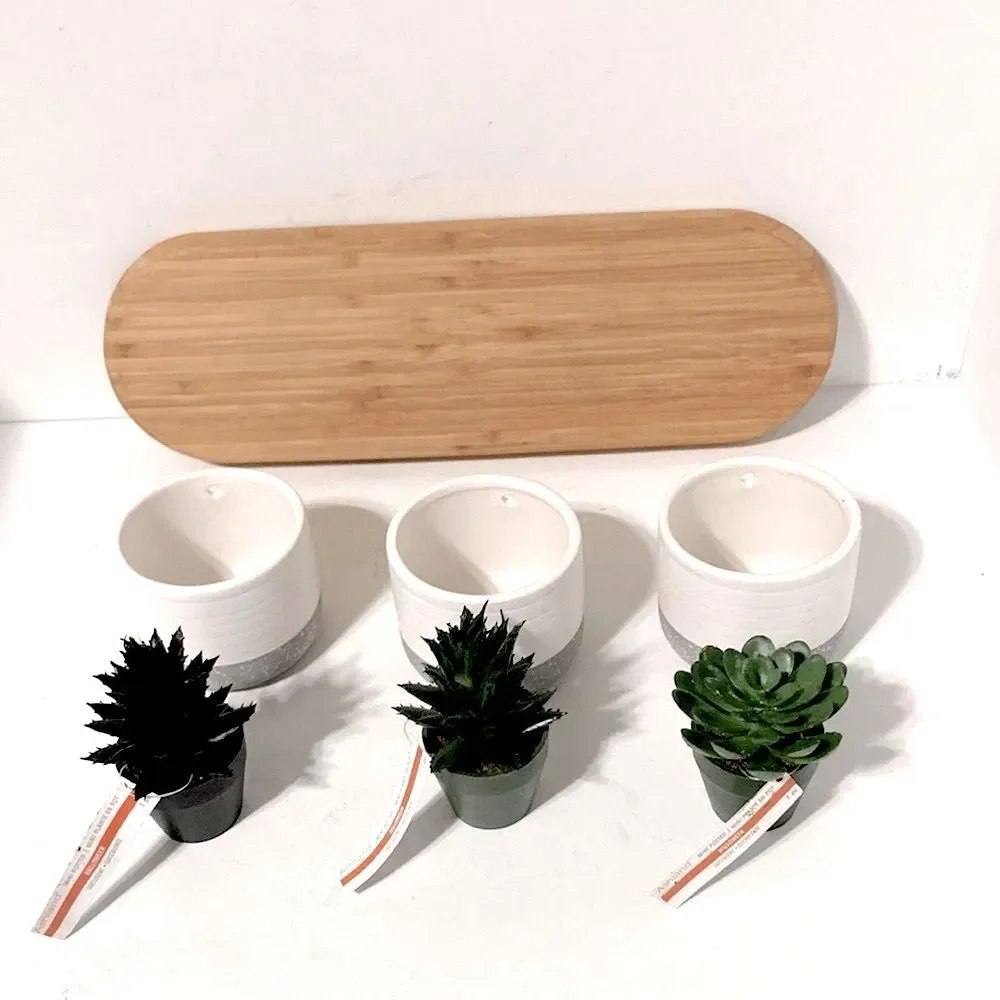 CENTERPIECE Decor Mini Faux Succulents in Ceramic Pots ASHLAND Wooden Tray